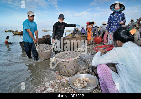 Fischer tragen Körbe Fische an einem Strand, Mui Ne, Vietnam, Asien Stockfoto