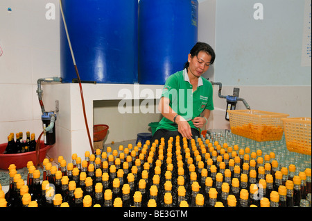 Vietnamesin während der Abfüllung von der traditionellen vietnamesischen Fisch sauce Nuoc Mam in Glasflaschen mit gelben Kunststoff-Kappe Stockfoto