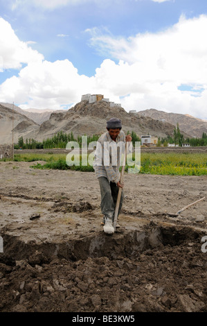 Mann schneiden Lehm für Ziegel in einer Ziegelei, die luftgetrocknete Ziegel im Indus-Tal, auf dem Berg der Traktok herstellt Stockfoto