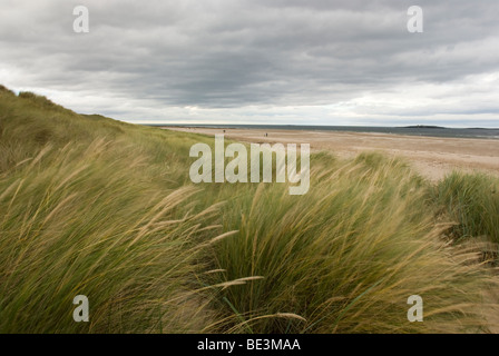 St. Aidans Dunes, Northumberland Küste, Großbritannien Stockfoto