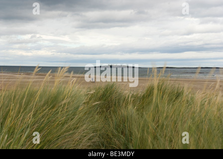 St. Aidans Dunes, Northumberland Küste, Großbritannien Stockfoto