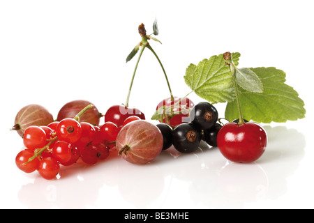 Rote Johannisbeeren, Stachelbeeren, Johannisbeeren, gemischte Beeren, Kirsche Stockfoto