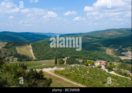 Weinberge auf dem Land außerhalb Dorf Radda in Chianti, Toskana, Italien Stockfoto