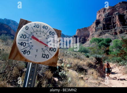 Thermometer in den Grand Canyon, Arizona, USA, Nordamerika Stockfoto