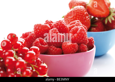 Waldbeeren in bunten Schalen, Himbeeren, Johannisbeeren, Erdbeeren Stockfoto