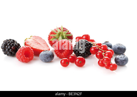 Waldbeeren, Himbeeren, Brombeeren, Heidelbeeren, Johannisbeeren, Erdbeeren Stockfoto