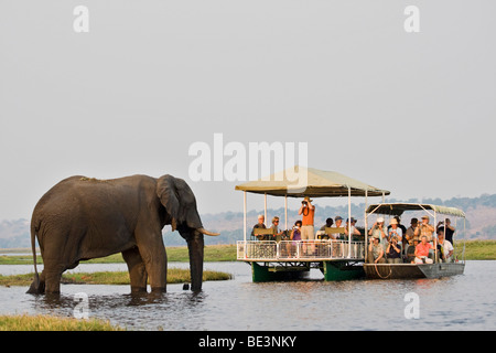 Ausflugsboote am Chobe River, mit Elefant, Chobe Nationalpark, Botswana, Afrika Stockfoto