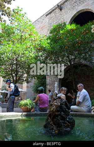 Museu Frederic Marès, Barcelona (Spanien) Stockfoto