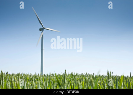 Windkraftanlage vor blauem Himmel, Feld im Vordergrund Stockfoto