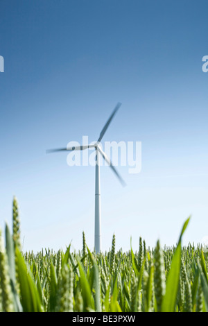 Windkraftanlage vor blauem Himmel, Feld im Vordergrund Stockfoto