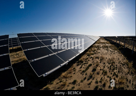 Deutschlands größte Solarpark in Lieberose, Spreewald, Brandenburg, Deutschland, Europa Stockfoto