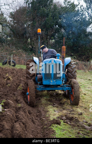 Traktor Fordson großen; Pflügen; Cornwall Stockfoto