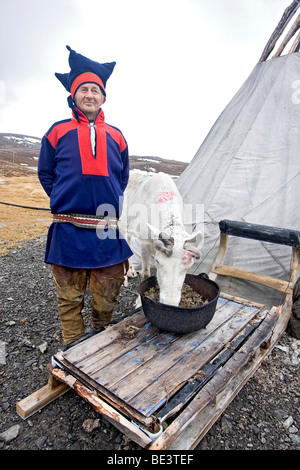 Älterer Sami Mann in traditioneller Kleidung zeichnet sich durch sein Zelt mit einem seiner Rentiere in der Nähe der Stadt Honningsvag, Norwegen. Stockfoto