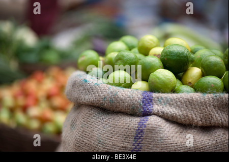 Sack von Zitronen auf dem indischen Markt. Andhra Pradesh, Indien Stockfoto