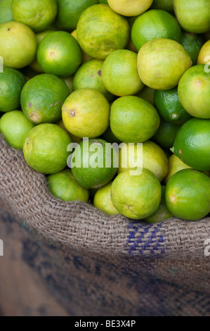 Sack von Zitronen auf dem indischen Markt. Andhra Pradesh, Indien Stockfoto