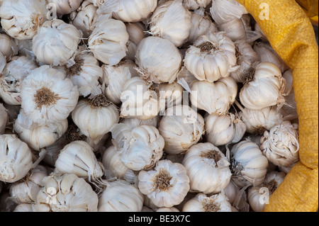 Sack Knoblauchzehen auf einem indischen Markt. Andhra Pradesh, Indien Stockfoto