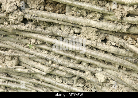 Daub und Flechtwerk Wände gebaut Stockfoto