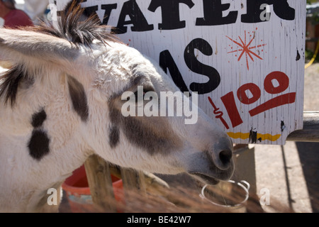 Westliche Altstadt Oatman, Kalifornien entlang der klassischen Route 66. Stockfoto