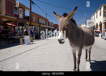 Westliche Altstadt Oatman, Kalifornien entlang der klassischen Route 66. Stockfoto