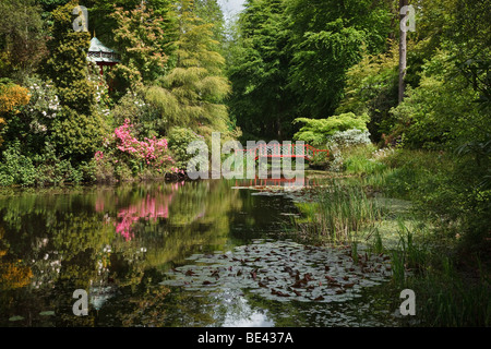 Der japanische Garten in Portmeirion, Gwynedd, Wales Stockfoto