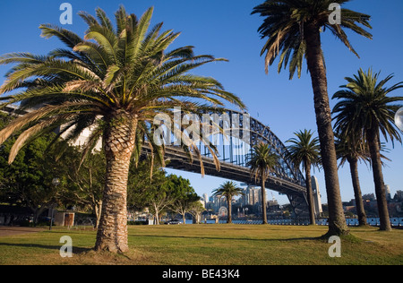 Blick auf die Sydney Harbour Bridge von Dawes Point Reserve. Rocks, Sydney, New South Wales, Australien Stockfoto