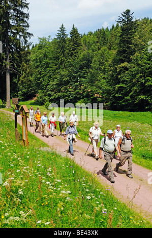 Wanderer in der Biosphäre Oberes Vessertal Tal, Biosphaerenreservat Vessertal-Thueringer Wald, reservieren Behälters Tal-Thüringen Stockfoto