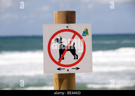 Keine Hunde erlaubt am Strand Zeichen in Lacanau-Ocean entlang der Atlantikküste Süd Westen Frankreichs in der Region Bordeaux Stockfoto