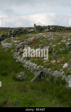 Stoney Feld umgeben mit traditionellen Steinmauern, Inis Mor (Inismore) Insel, Aran-Inseln, Co. Galway, Irland Stockfoto