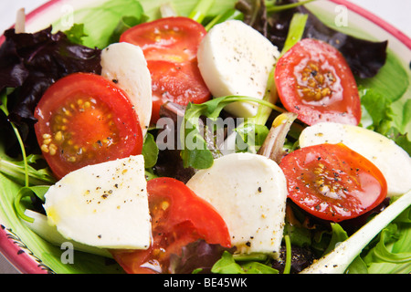 Tomate und Mozzarella Salatblätter auf einem Salatbett mit Frühlingszwiebeln Stockfoto