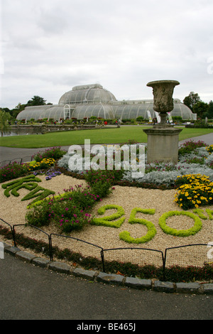 Blütenpracht in der Feier von Kew Gärten 250. Geburtstag, Sommer 2009, Kew, London Stockfoto