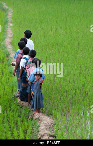 Kleine Inderin winken auf der Rückseite eine Reihe von indischen Schülerinnen und Schüler zu Fuß auf einem Reisfeld. Andhra Pradesh, Indien Stockfoto