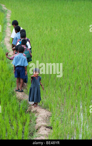 Kleine Inderin winken auf der Rückseite eine Reihe von indischen Schülerinnen und Schüler zu Fuß auf einem Reisfeld. Andhra Pradesh, Indien Stockfoto