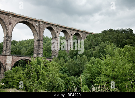 Historische Viadukt führt über ein Tal von üppig grünen Wald Stockfoto
