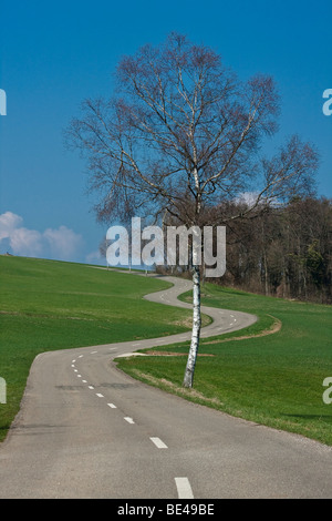 Straße im Hegau, Landkreis Konstanz, Baden-Württemberg, Deutschland, Europa Stockfoto