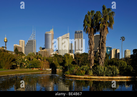 Sydney TV Tower, Skyline Central Business District, Deutsche Bank, Royal Botanical Gardens, der Domäne, Sydney, New South Wales Stockfoto