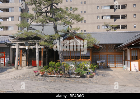 Shinto-Schrein befindet sich in einem Häuserblock südlich von Gion Bezirk, Kyoto, Japan, Asien Stockfoto