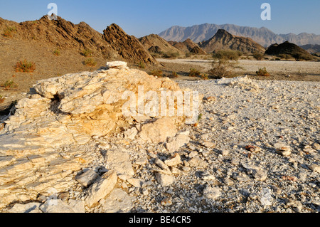 Steinige Wüstenlandschaft, Hadjar Ash-Sharqi-Gebirges, Sharqiya Region, Sultanat Oman, Arabien, Nahost Stockfoto