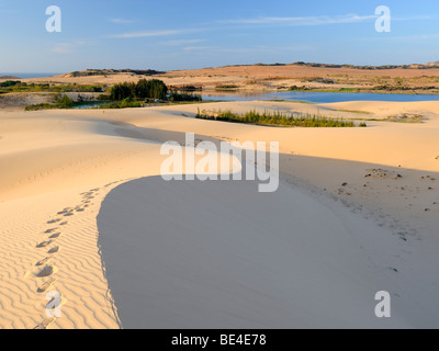 Fußspuren im Wüstenlandschaft und weißen Sanddüne, Bau Ba 'Vietnamesische Sahara', Bao Trang, White Lake, Vietnam, Asien Stockfoto