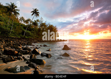 Sonnenuntergang am Kee Beach mit Palmen. Kauai, Hawaii. Stockfoto