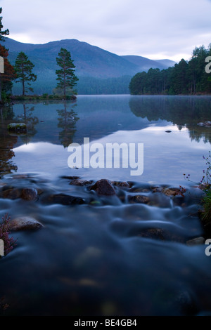 Am frühen Morgen Blick über Loch ein Eilein und die Rothiemurchus Estate und Wald, Schottland, Großbritannien Stockfoto