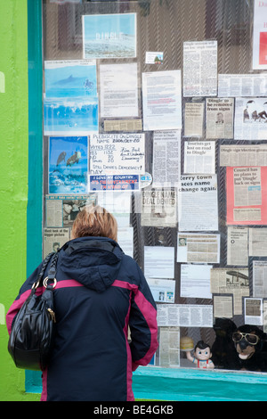 Frau liest Mitteilungen in einem Schaufenster Stockfoto