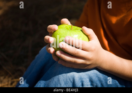 Green Apple Stockfoto