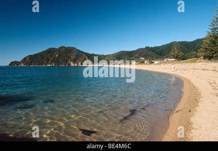 Neuseeland - Südinsel - Tarakohe - Abel Tasman Nationalpark Stockfoto