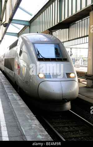 TGV, Zug von Stuttgart nach Paris, Stuttgart, Baden-Württemberg, Deutschland, Europa Stockfoto