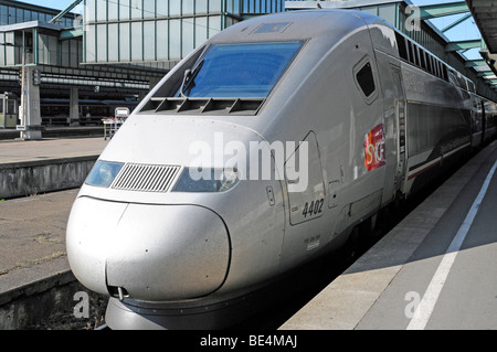 TGV, Zug von Stuttgart nach Paris, Stuttgart, Baden-Württemberg, Deutschland, Europa Stockfoto