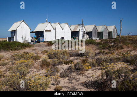 Strandhütten auf Ilha Deserta oder Ilha da barreta im Naturschutzgebiet Ria Formosa aus Faro, Portugal Stockfoto