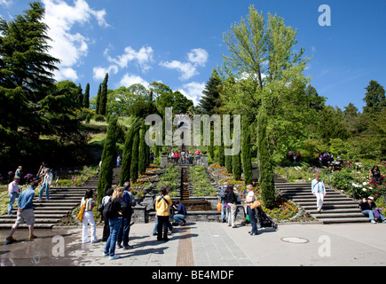 Wasser-Treppe mit Zypressen, Insel Mainau, Bodensee, Landkreis Konstanz, Baden-Württemberg, Deutschland, Europa Stockfoto