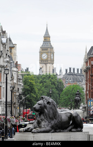 Löwe Skulptur auf dem Trafalgar Square, in der Rückseite der Uhrturm des Palace of Westminster, Big Ben, London, England, Vereinigtes Stockfoto