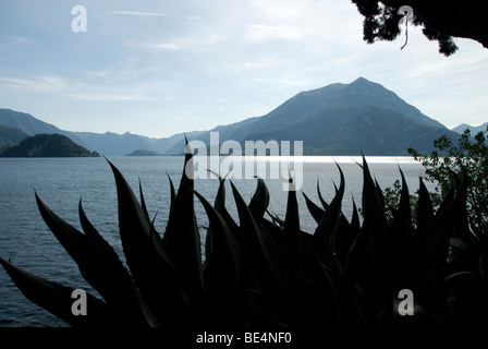 Blick über den Comer See, Italien, von Varenna am Ostufer in Richtung Bellagio und Cadenabbia. Stockfoto