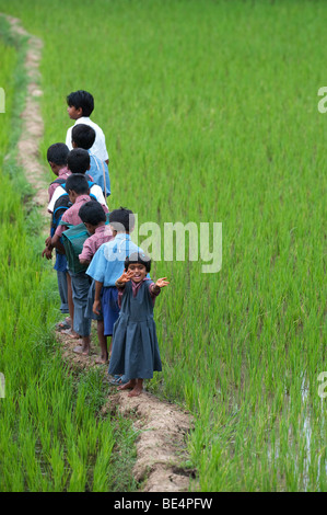 Kleine Inderin winken auf der Rückseite eine Reihe von indischen Schülerinnen und Schüler zu Fuß auf einem Reisfeld. Andhra Pradesh, Indien Stockfoto